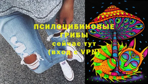 сатива Михайловка